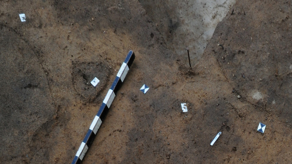 symbolic image LandMan Collection Map