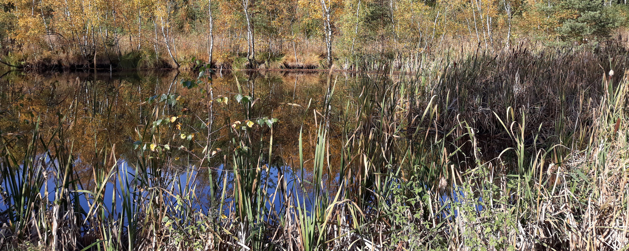 View of Lake Dobbin (photo: W. Kirleis)