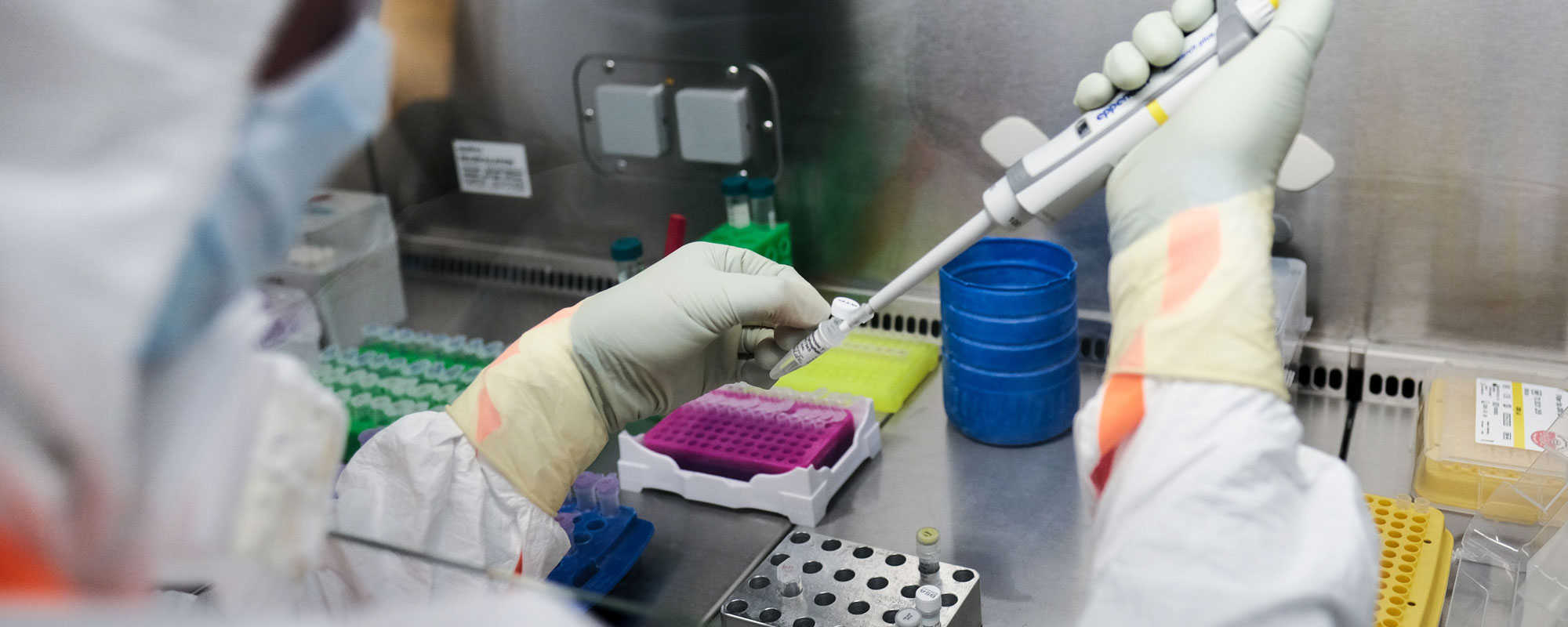 Preparation of bones and teeth from archaeological excavations for aDNA analysis in laboratory of the Institute of Clinical Molecular Biology (IKMB) at the Quincke Research Centre (photo: J. Steffen).